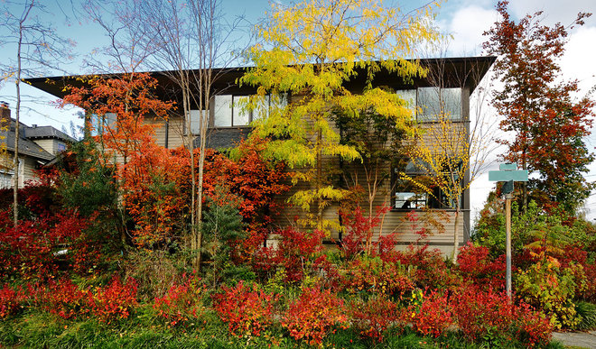 Fall Home Maintenance Checklist windows